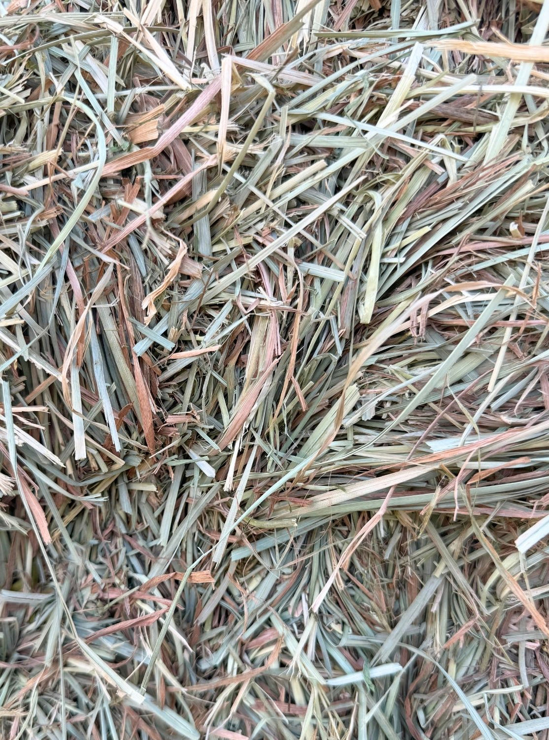 2nd Cutting Orchard Alfalfa Timothy (80/10/10) - Small Bale