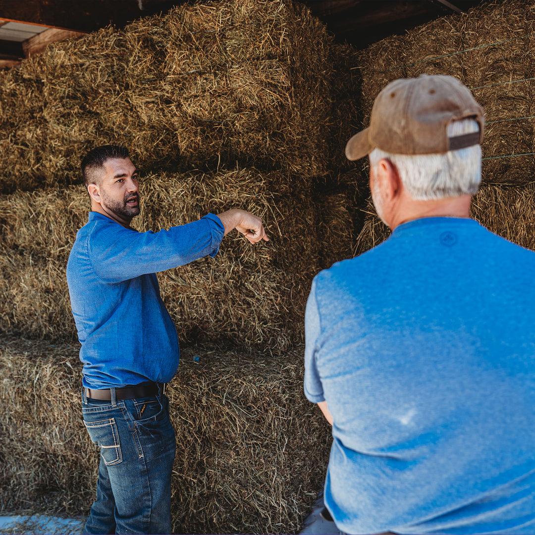 <img src="hay.jpg" alt="People looking at hay" />