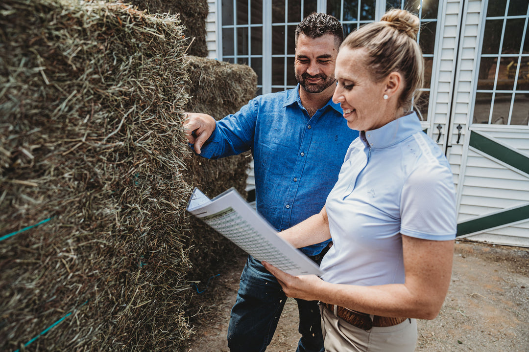 <img src="hay.jpg" alt="People looking at hay" />