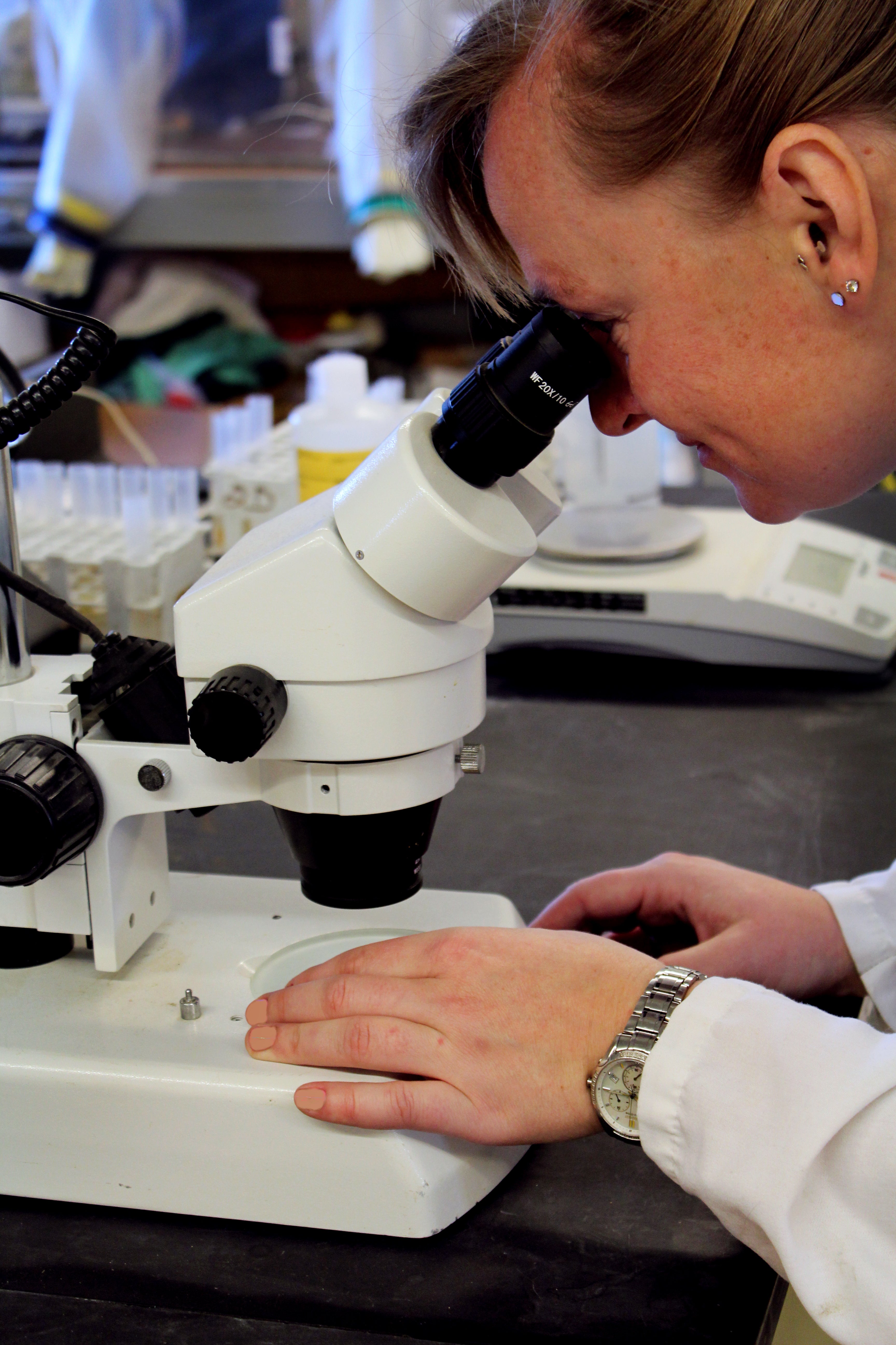 <img src="microscope.jpg" alt="Woman looking in microscope" />