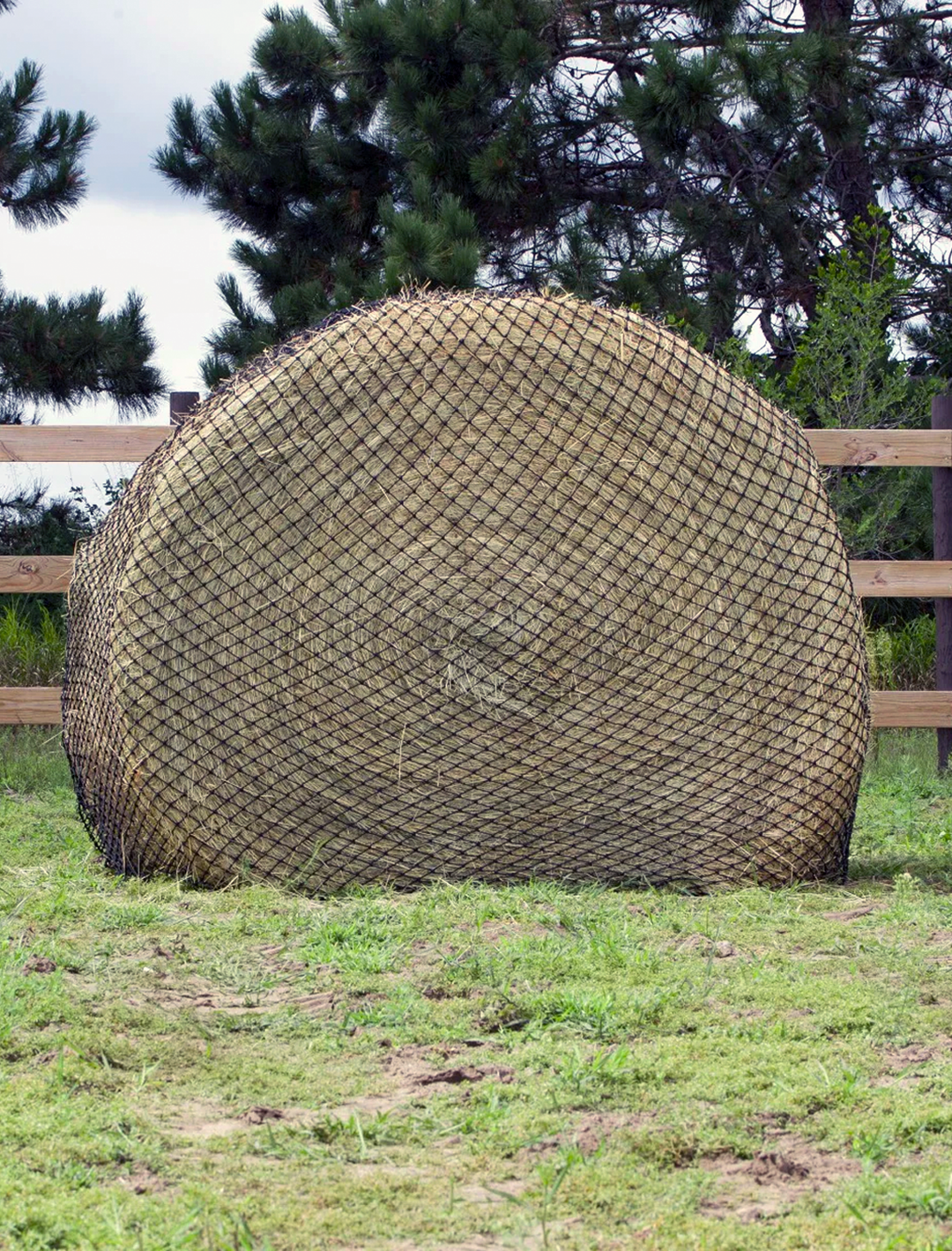 5' large round hay bale secured in a Hay Chix slow-feed hay net, designed to reduce hay waste, regulate consumption, and support digestive health.