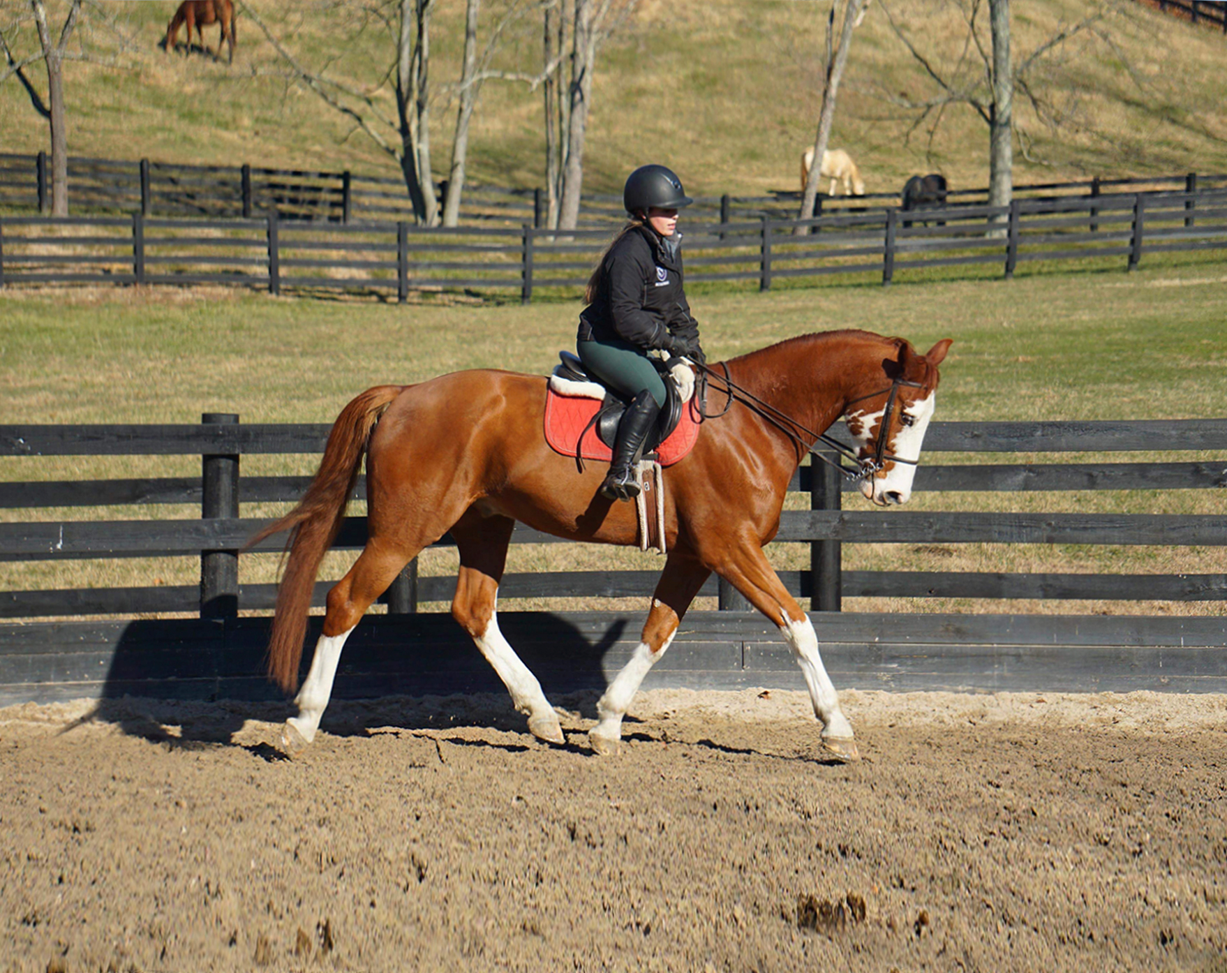 <img src="horse.jpg" alt="Girl riding horse" />