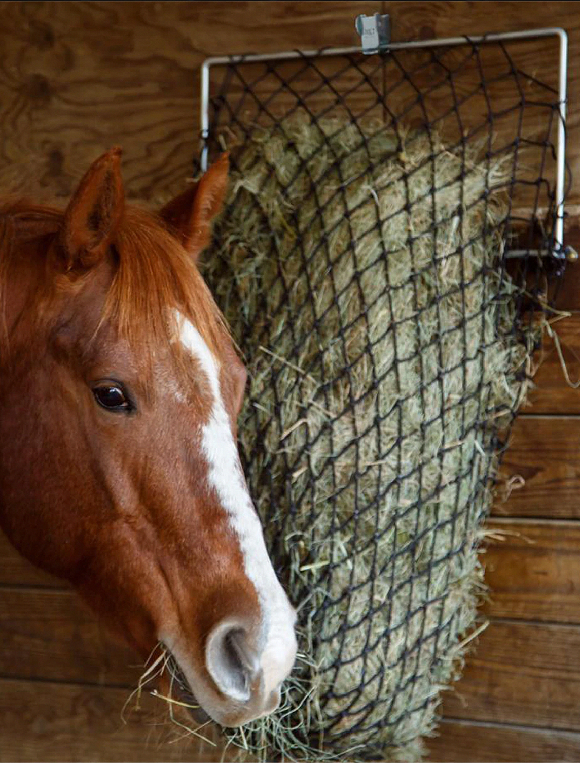 Mounted Hay Nets