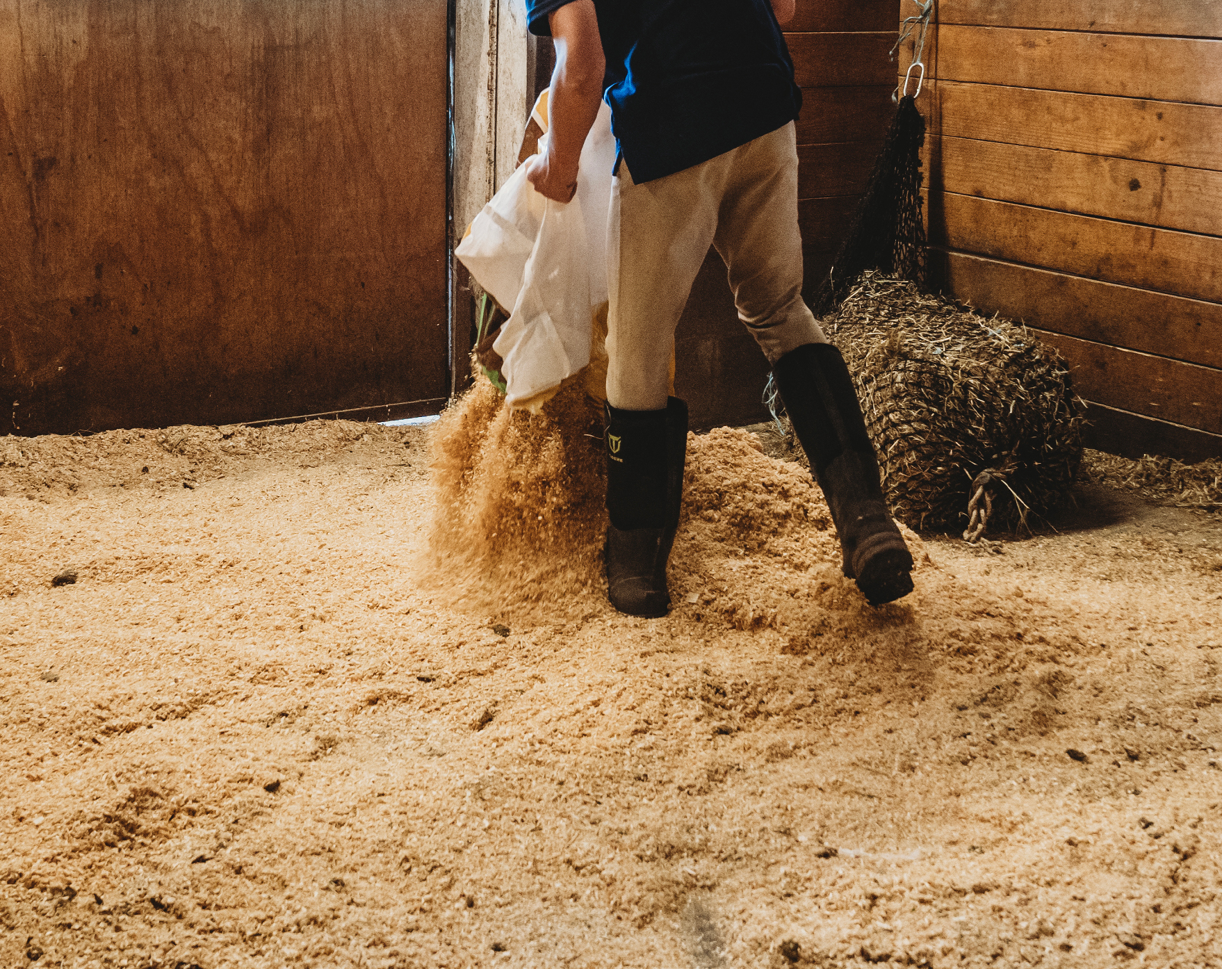 <img src="shavings.jpg" alt="Shavings in horse stall" />