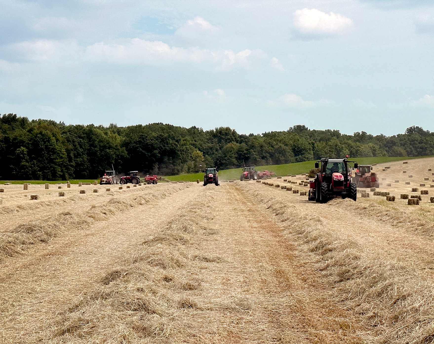 <img src="hayfield.jpg" alt="Tractors baling hay" />