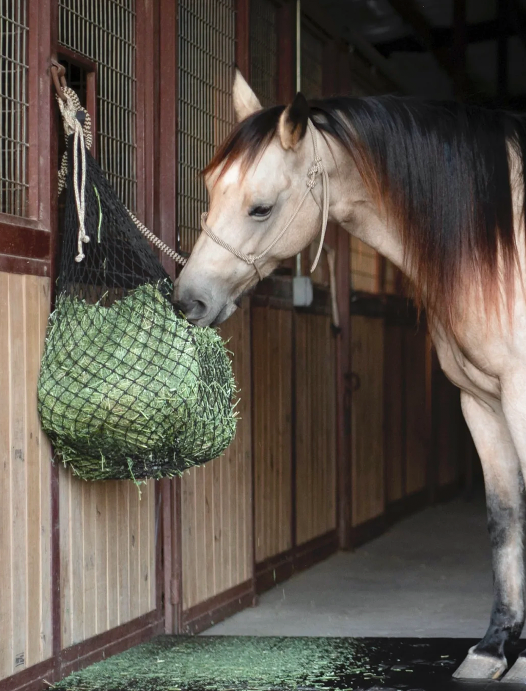 Regular Hay Nets