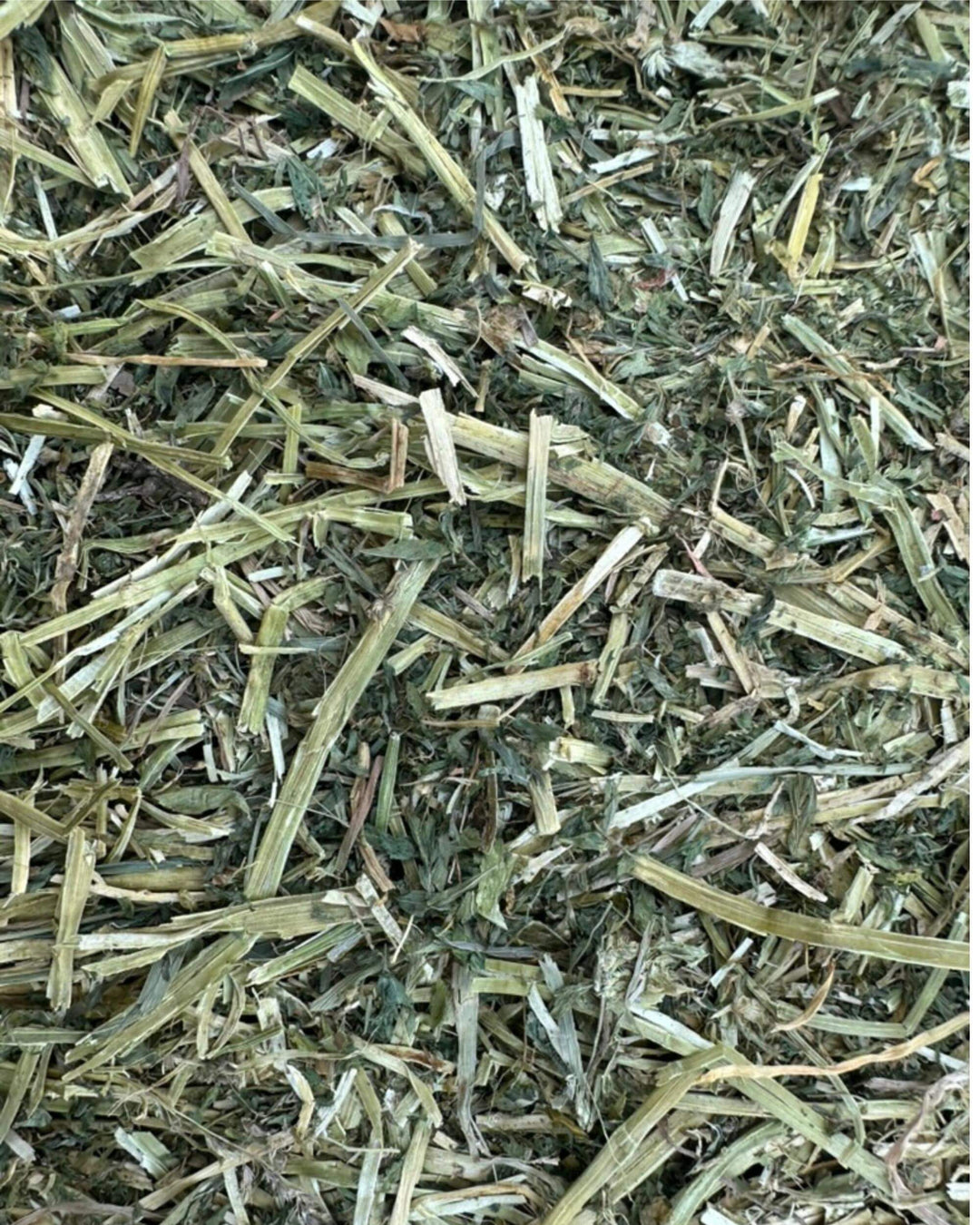 1st Cutting Alfalfa Hay - Small Bale