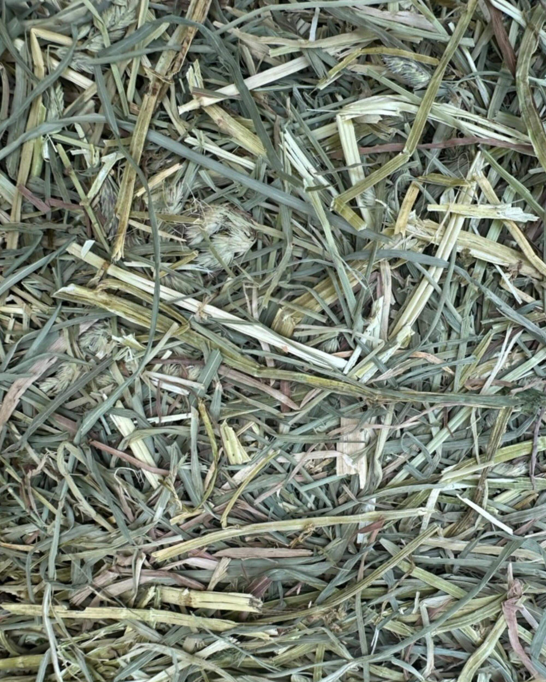 1st Cutting Alfalfa Hay - Small Bale