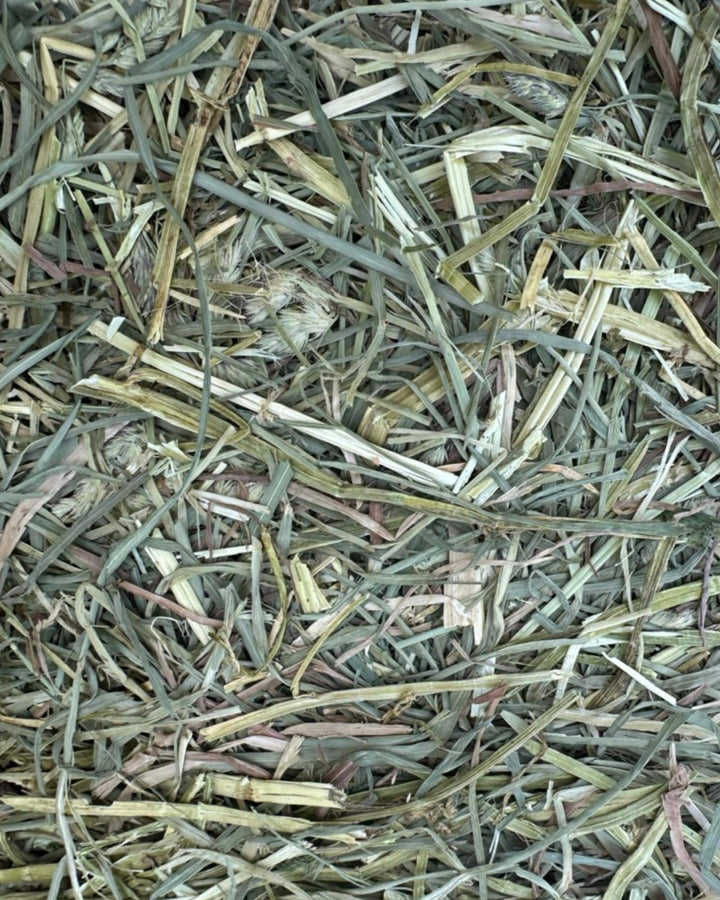 1st Cutting Alfalfa Hay - Small Bale