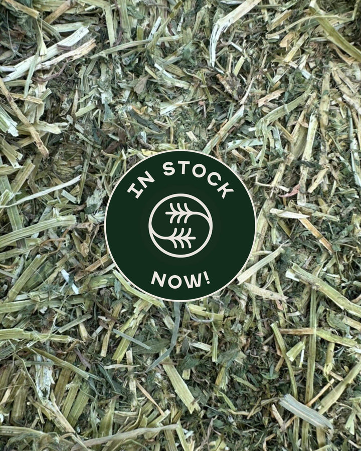 1st Cutting Alfalfa Hay - Small Bale