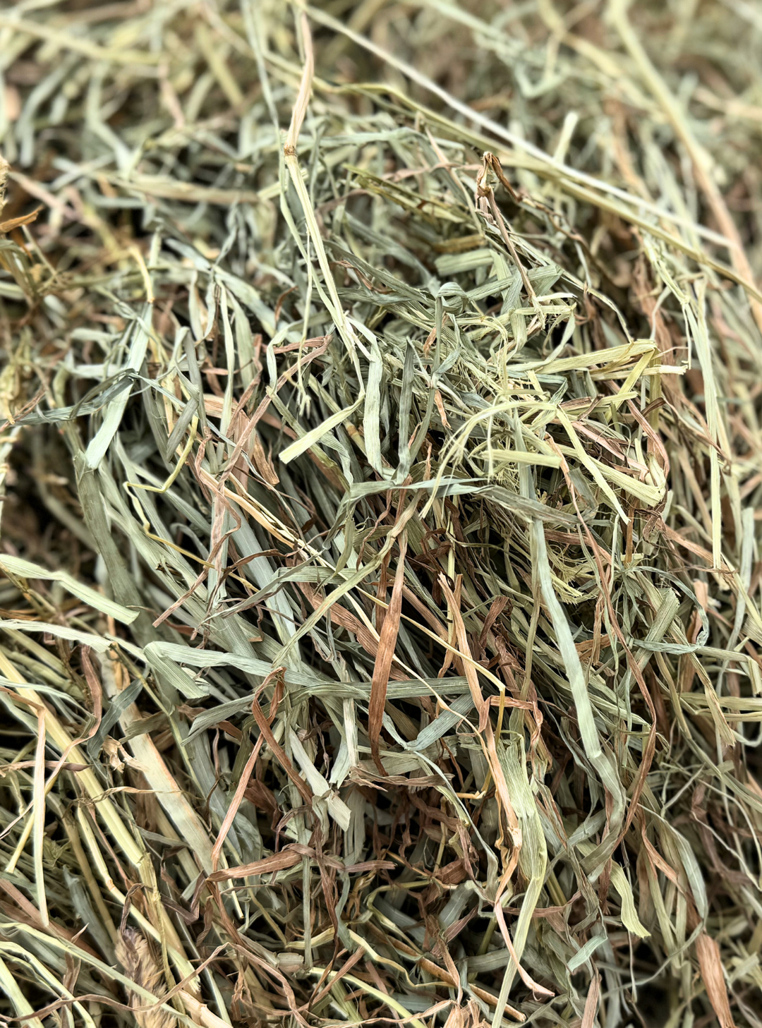 Close up of green first Cutting Timothy Orchardgrass Hay 50/50 Mix