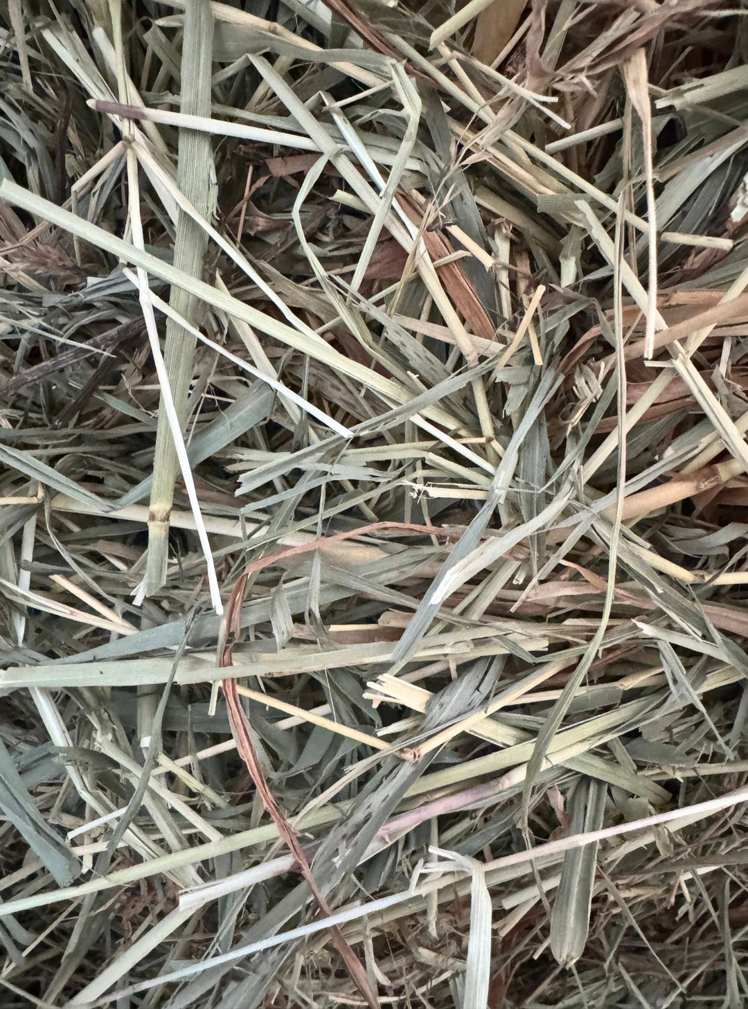 Close-up of dried orchardgrass hay showing a textured mix of brown and green hues.