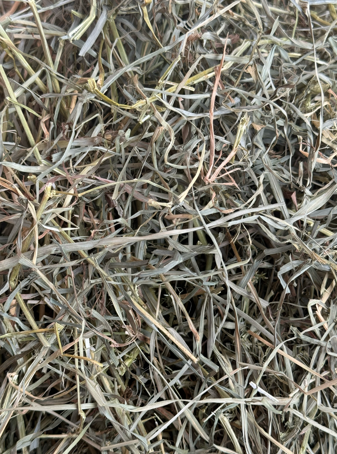 A vibrant pile of green horse hay, featuring high-quality Ohio-grown second cutting Orchardgrass Alfalfa.