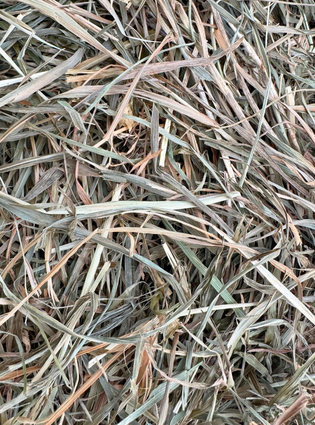 Close-up of 2nd cutting Alfalfa-Orchard hay blend with light leafy green and tan blades.