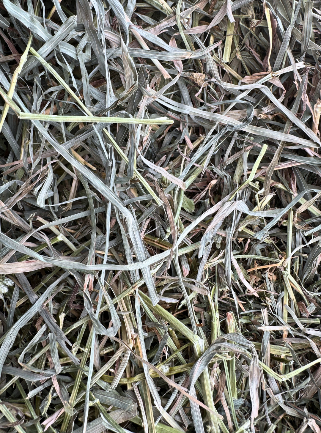 A close-up view of a pile of Orchardgrass and Alfalfa hay, showcasing the natural textures of the leafy green vegetation.