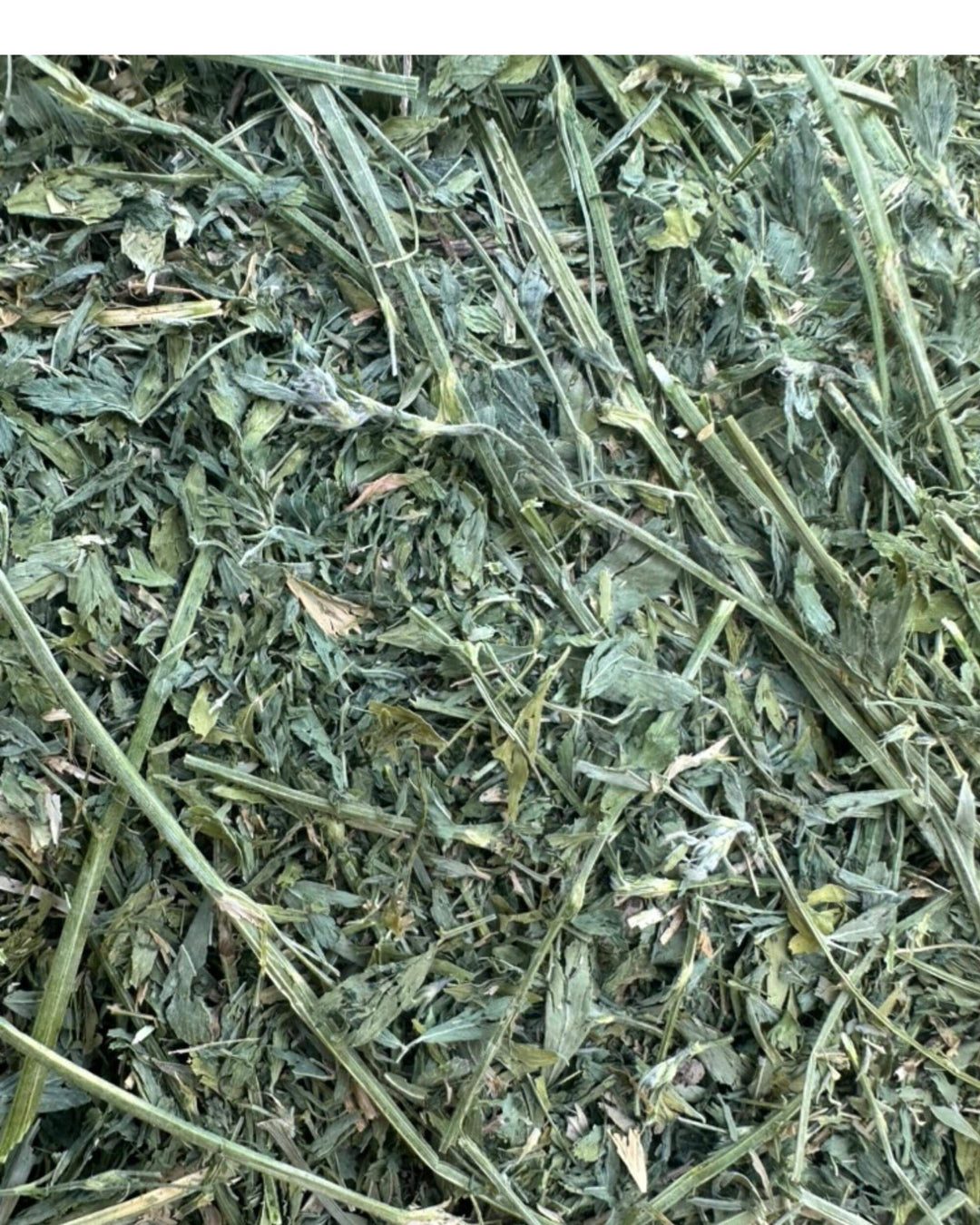 4c Alfalfa Orchard 75/25 - Large Bale