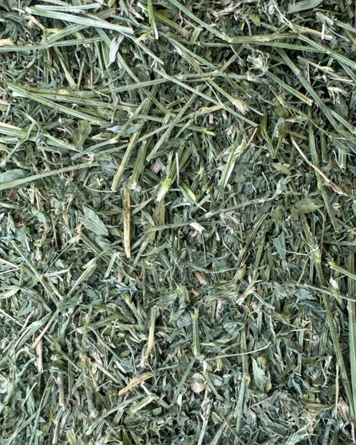 high leaf 4th cutting alfalfa orchard hay with dense leafy structure and minimal stem