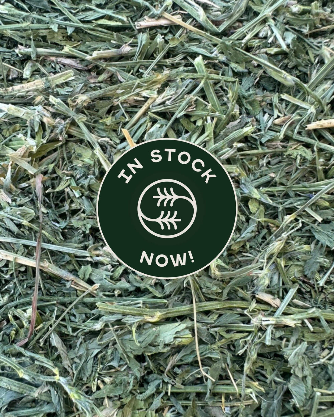 4th cutting alfalfa orchard hay 75 25 blend with in stock badge showing current availability high calorie premium hay