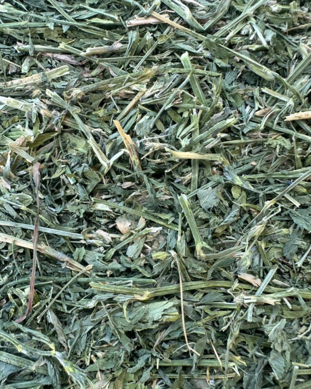 4th cutting alfalfa orchard hay 75 25 blend showing soft texture high leaf content and dense nutrient rich forage