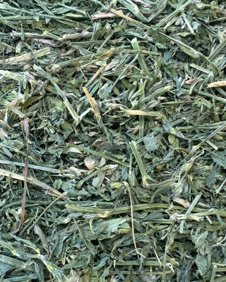 4th cutting alfalfa orchard hay 75 25 blend showing soft texture high leaf content and dense nutrient rich forage