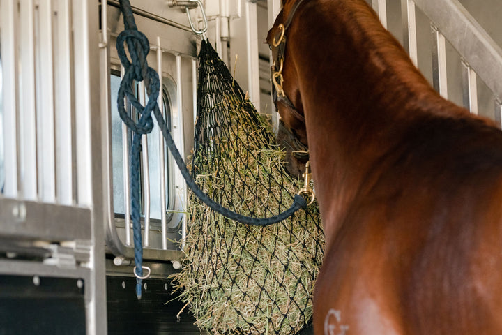 left shoulder and neck of a Chestnut horse inside a horse trailer eating out of a hay bale hay net that is hanging by a an oval snap