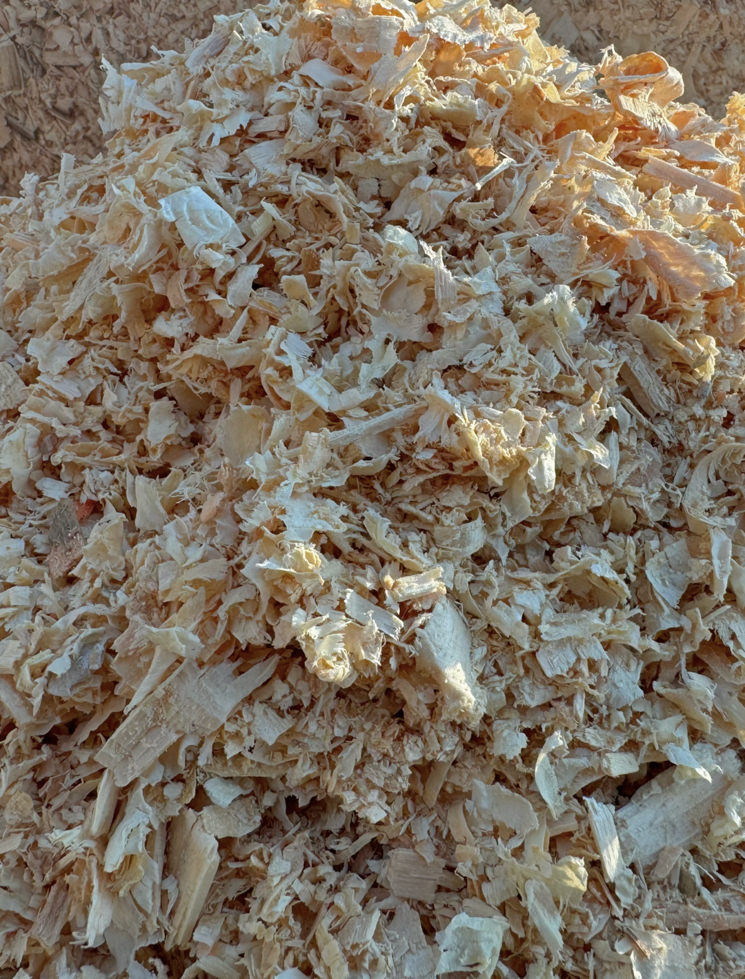 Bag of Shavings (40+lb) - 2024