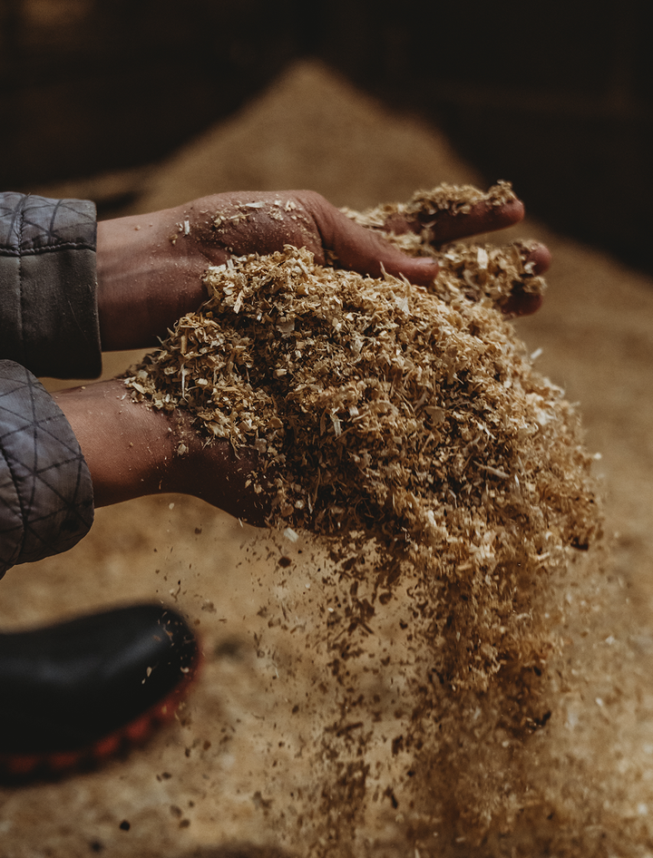 <img src="shavings.jpg" alt="Hand holding shavings" />