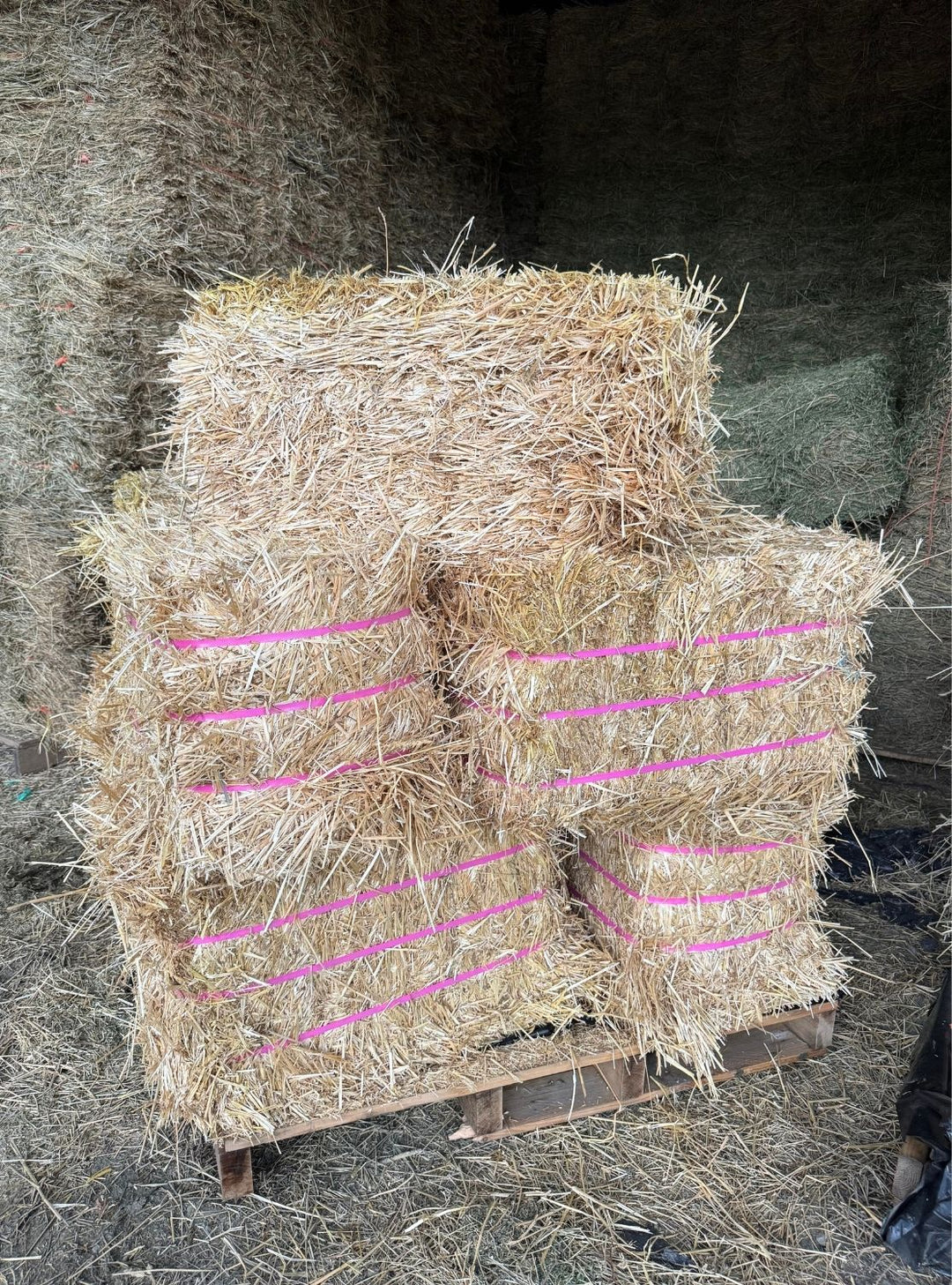 1WS_3CB_25_IB - 1st Cutting Wheat Straw