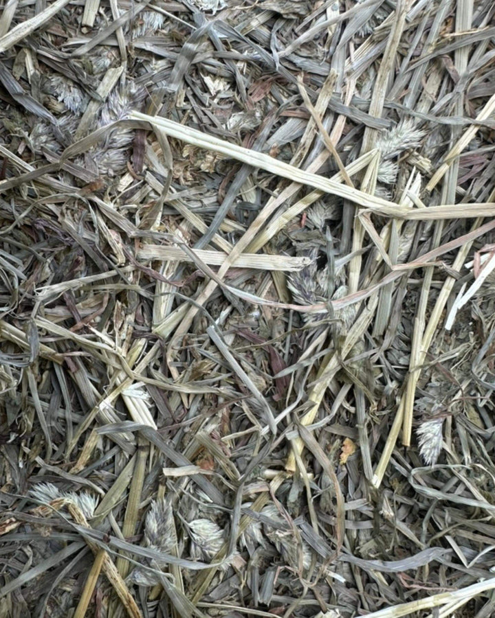 Close-up of first cutting orchard alfalfa 50/50 hay showing mixed grass and alfalfa stems and leaf content