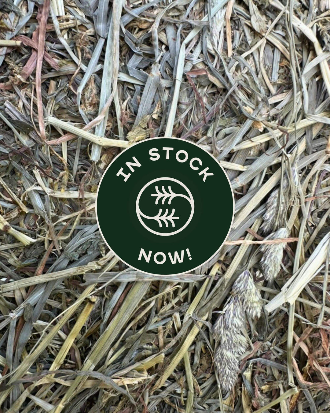 First cutting orchard alfalfa 50/50 hay with in stock badge overlay showing current availability at Sweet Grass Farms