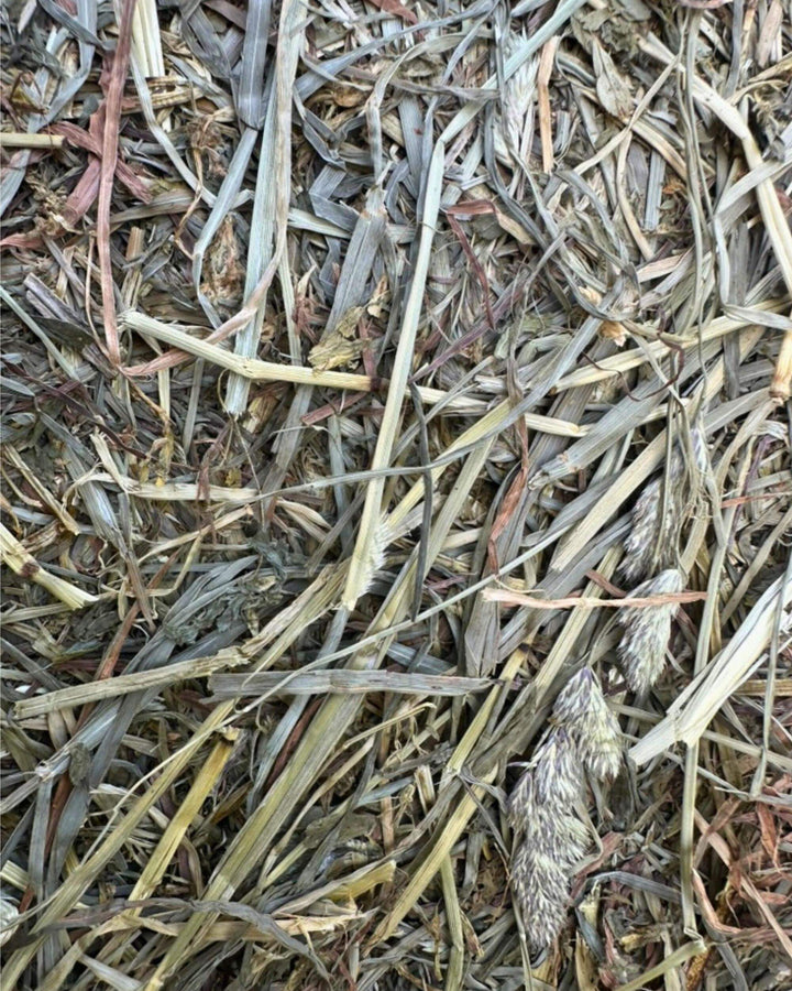 Soft leafy first cutting orchard alfalfa 50/50 hay with high palatability and fine stem structure