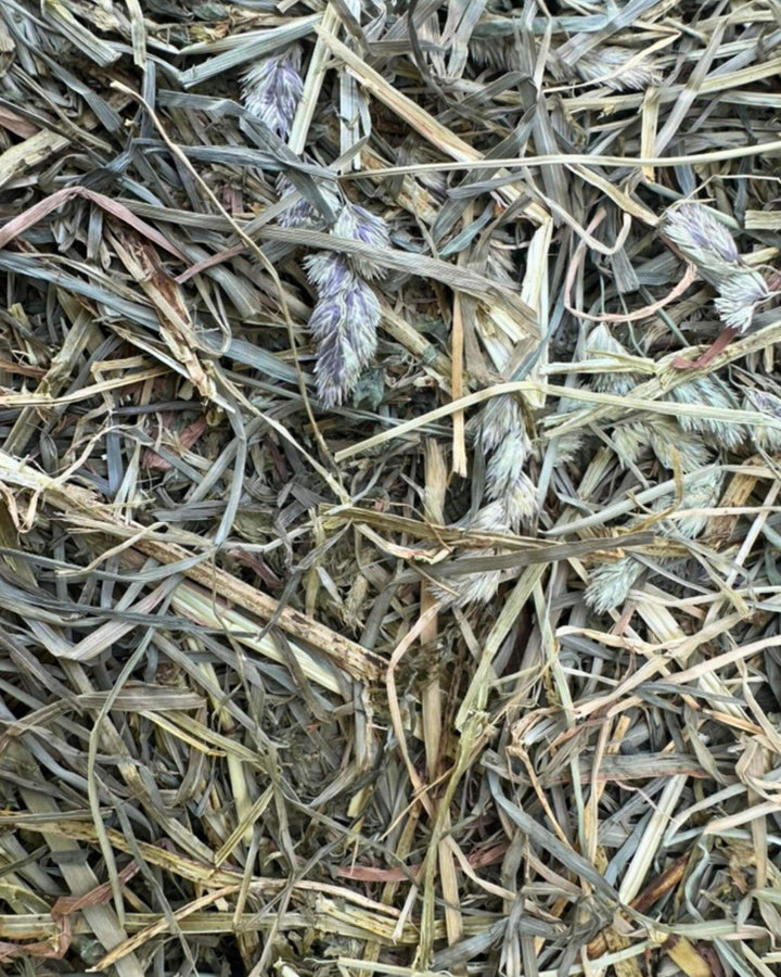 First cutting orchard alfalfa 50/50 hay blend showing soft texture and balanced leaf to stem ratio