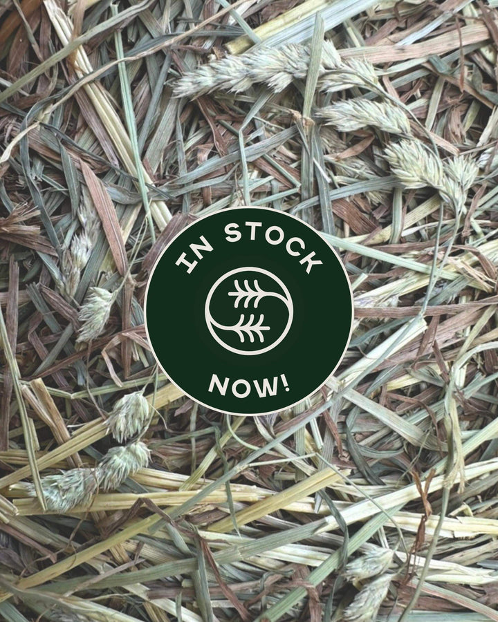 First cutting orchard timothy hay 60/40 blend with in stock badge overlay showing availability