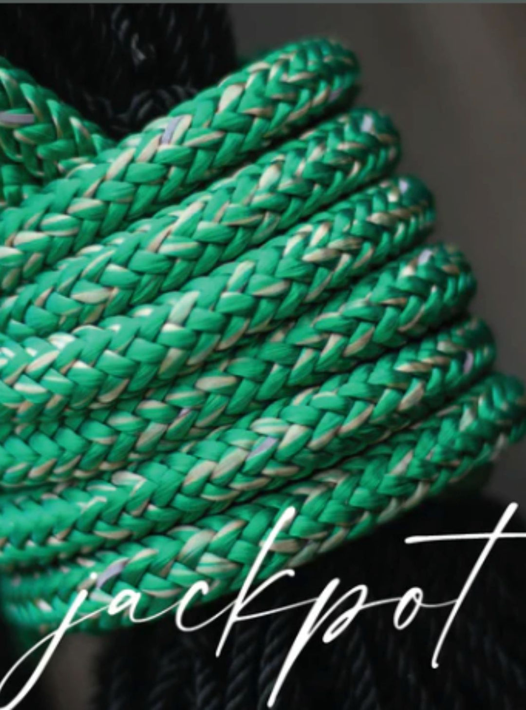 Close-up of Hay Chix® Replacement Rope in the "Jackpot" color, featuring a braided green, tan, and subtle reflective weave.