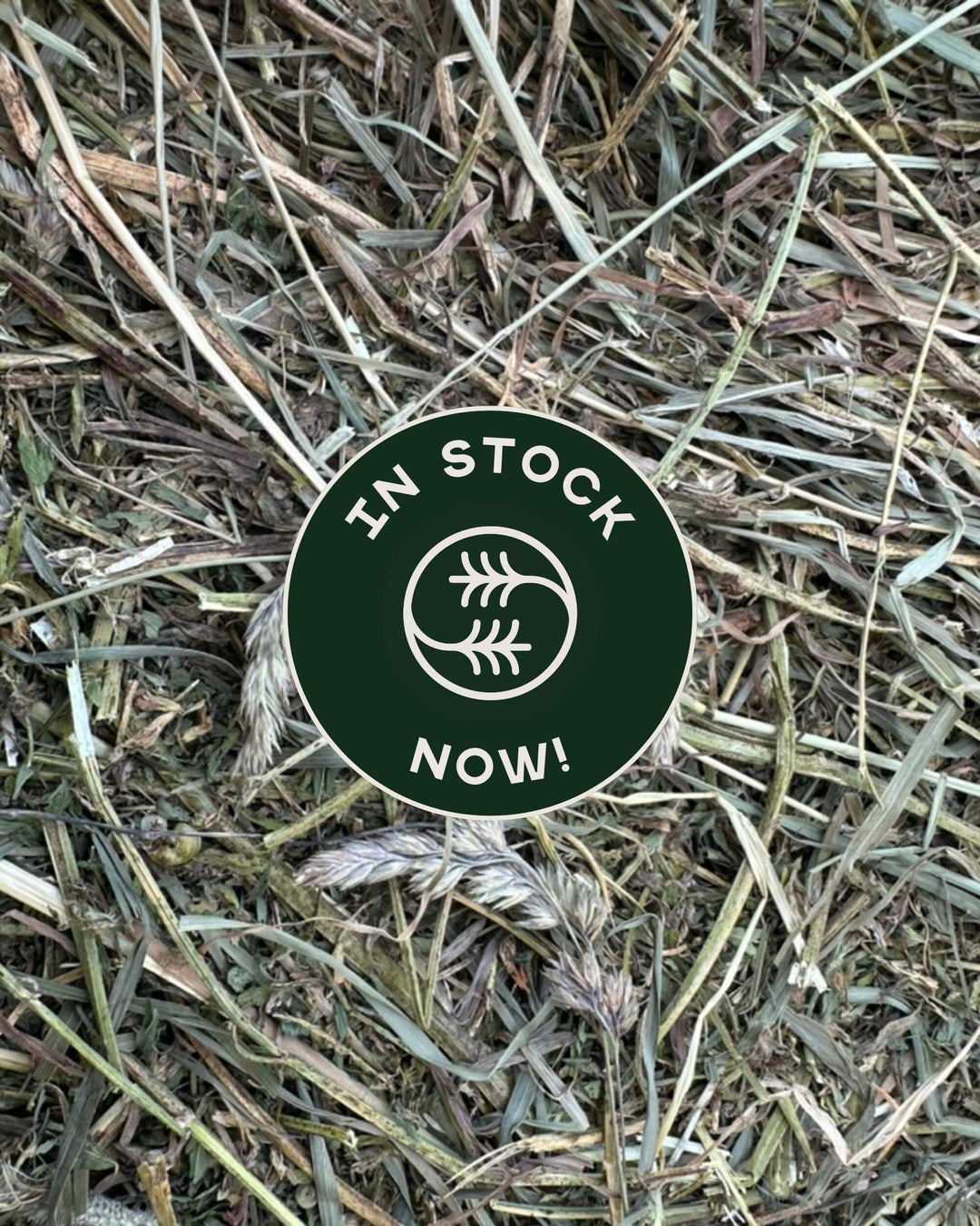 Orchard alfalfa timothy hay blend with in stock badge showing availability