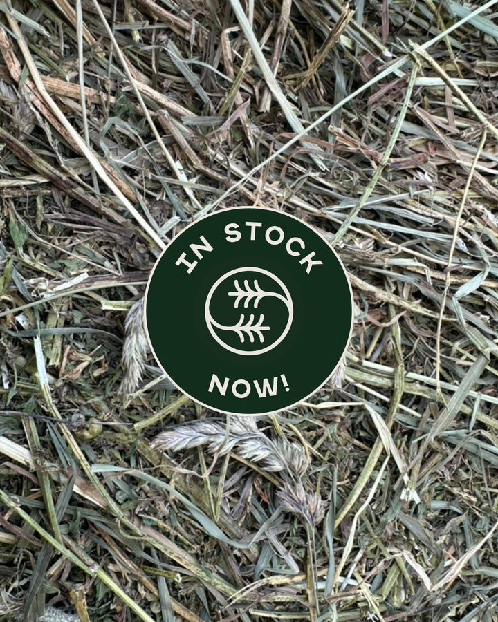 Orchard alfalfa timothy hay blend with in stock badge showing availability