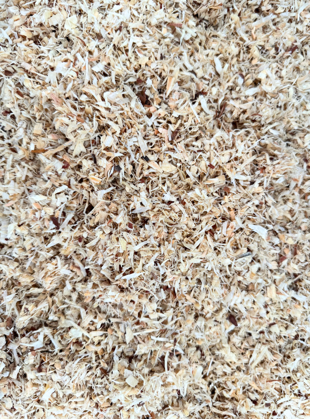 Queen EZ Sift Shavings – 100% premium fine flake pine shavings in a 5.5 cu ft compressed bag, double-screened and low dust for easy stall cleaning.