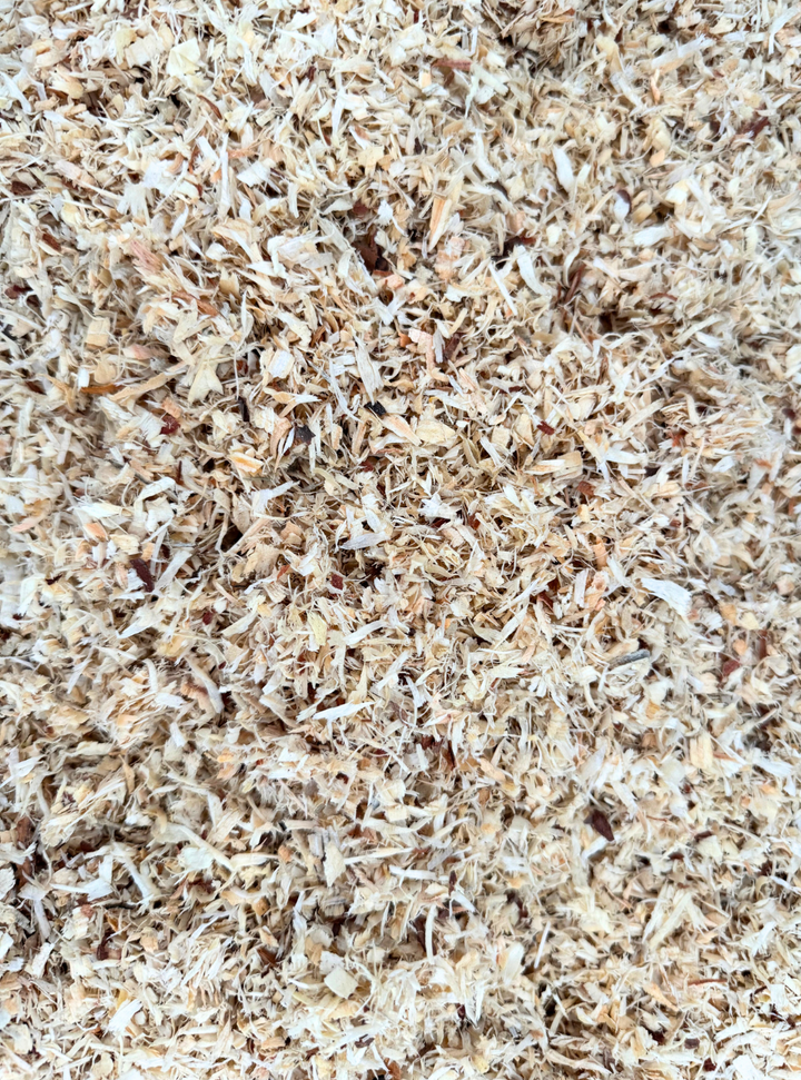 Queen EZ Sift Shavings – 100% premium fine flake pine shavings in a 5.5 cu ft compressed bag, double-screened and low dust for easy stall cleaning.