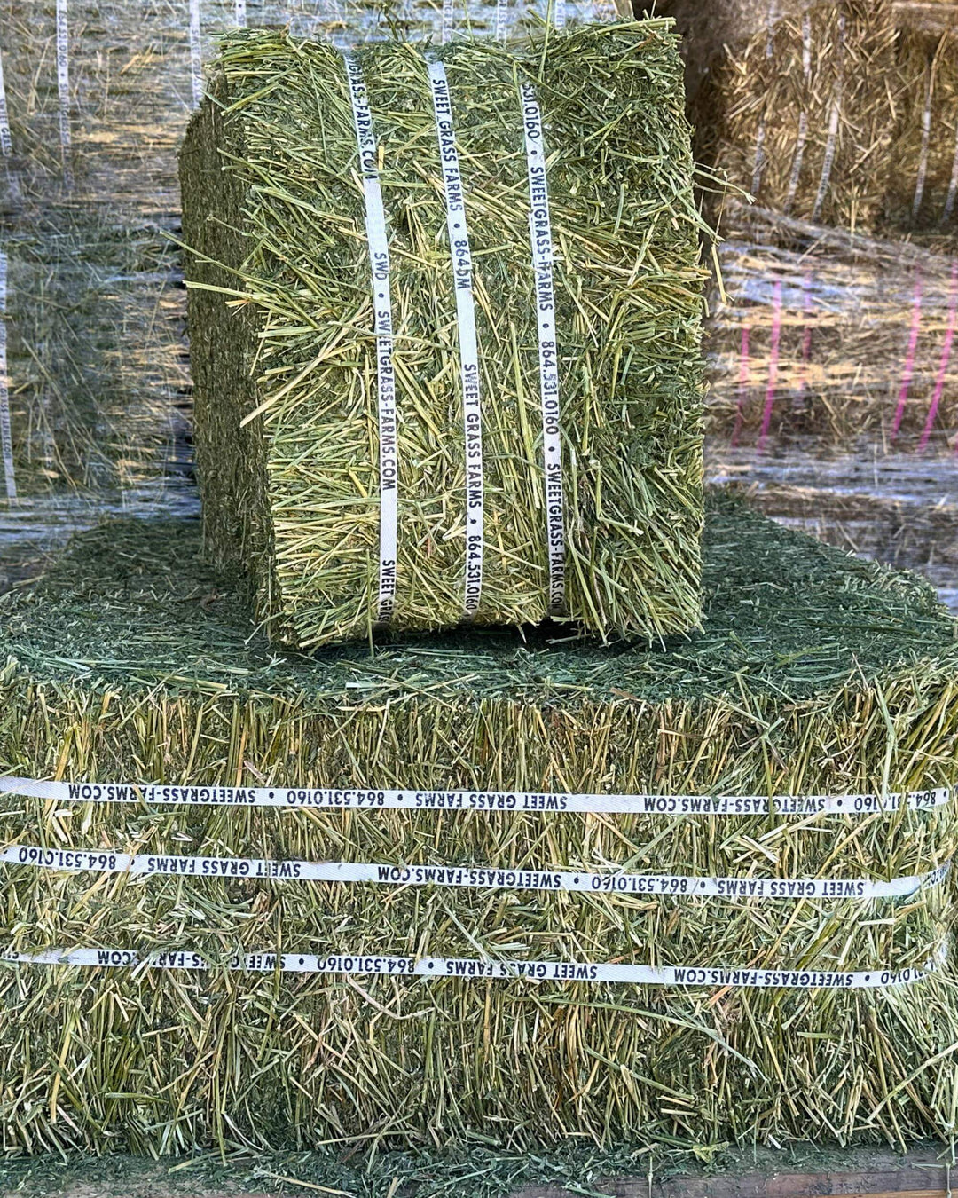 Stacked small bales of second cutting Western alfalfa hay showing clean, well-formed bale structure
