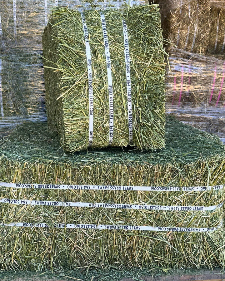 Stacked small bales of second cutting Western alfalfa hay showing clean, well-formed bale structure