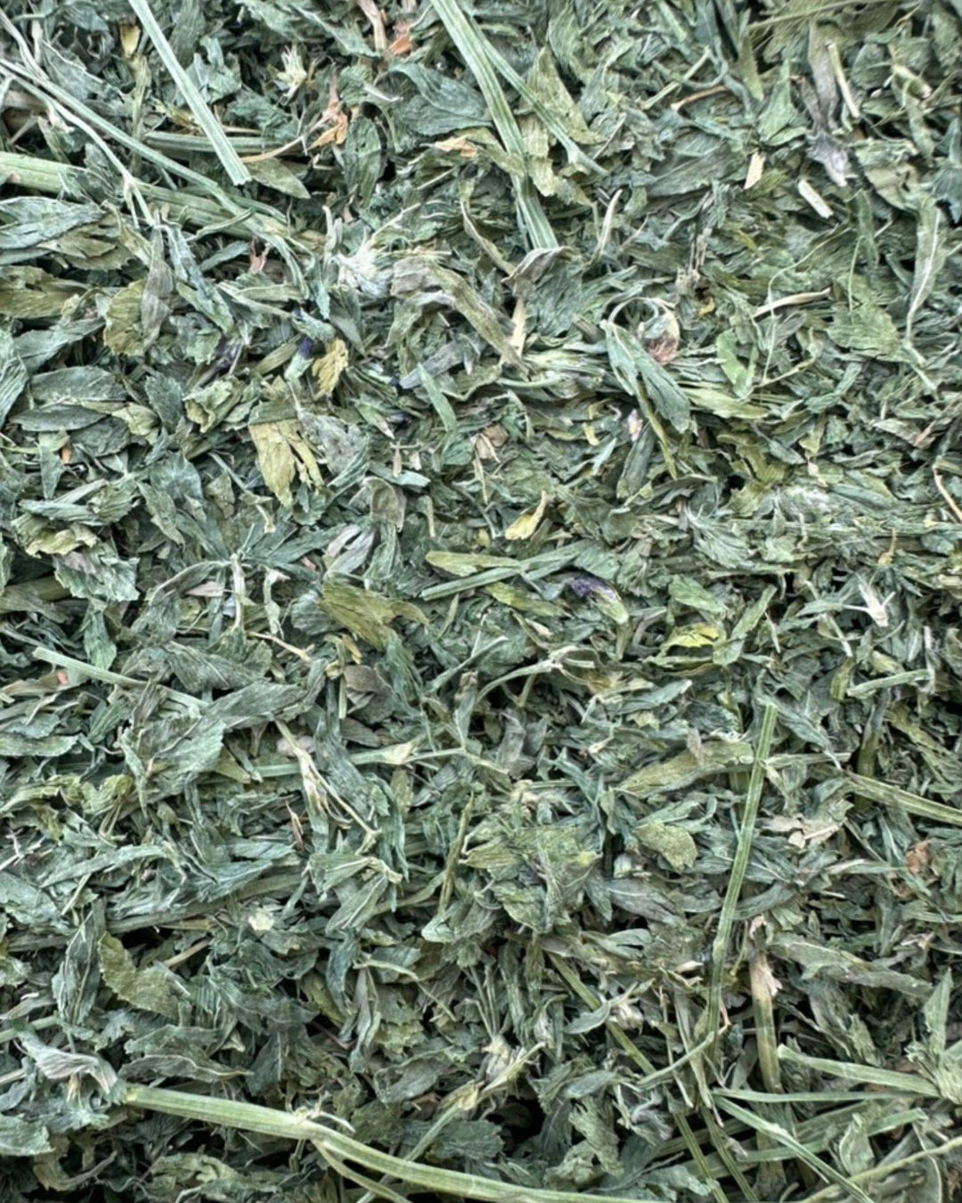 Close-up of second cutting Western alfalfa hay showing leafy texture, fine stems, and soft structure