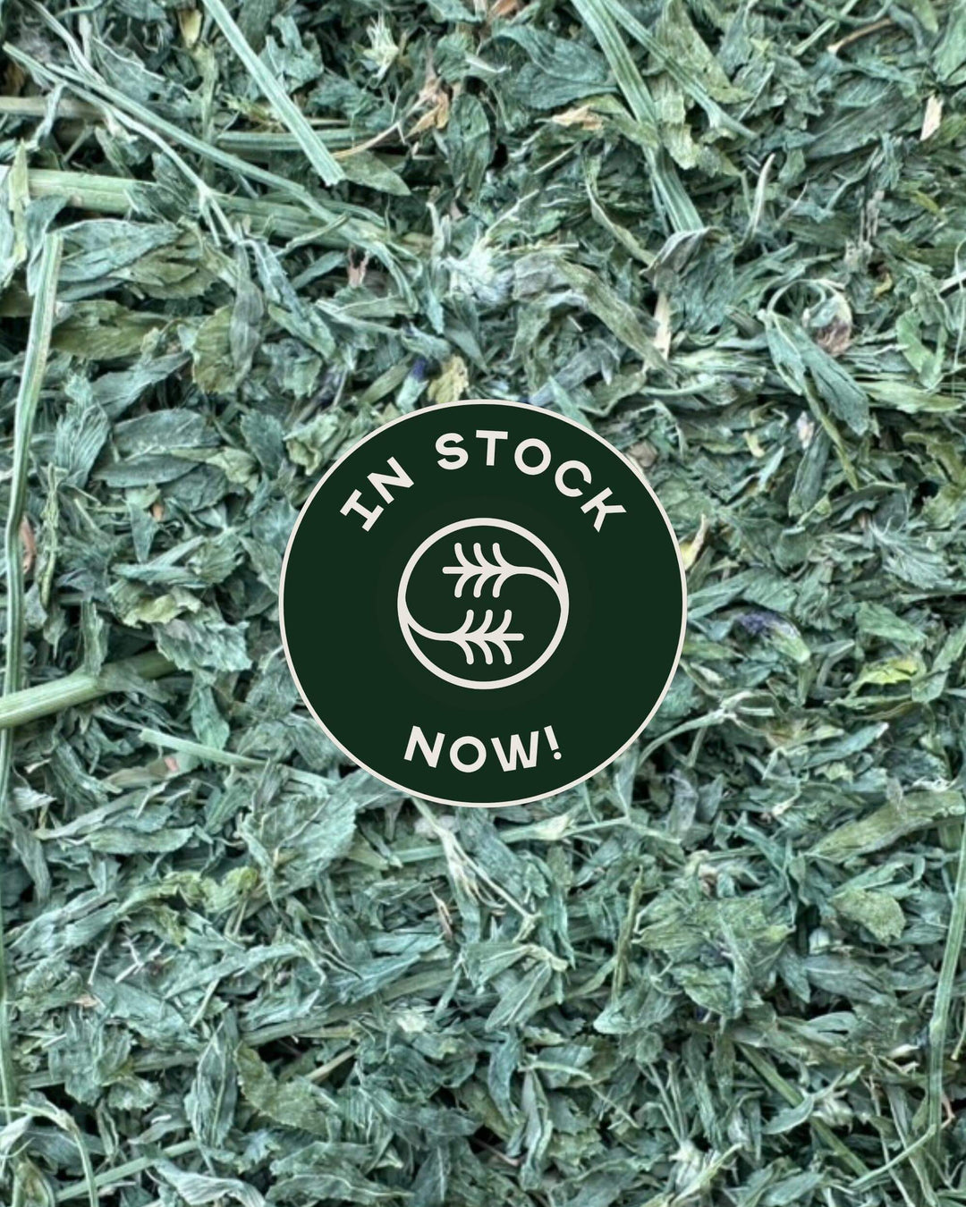 Second cutting Western alfalfa hay with in stock badge overlay showing current availability and leafy soft texture