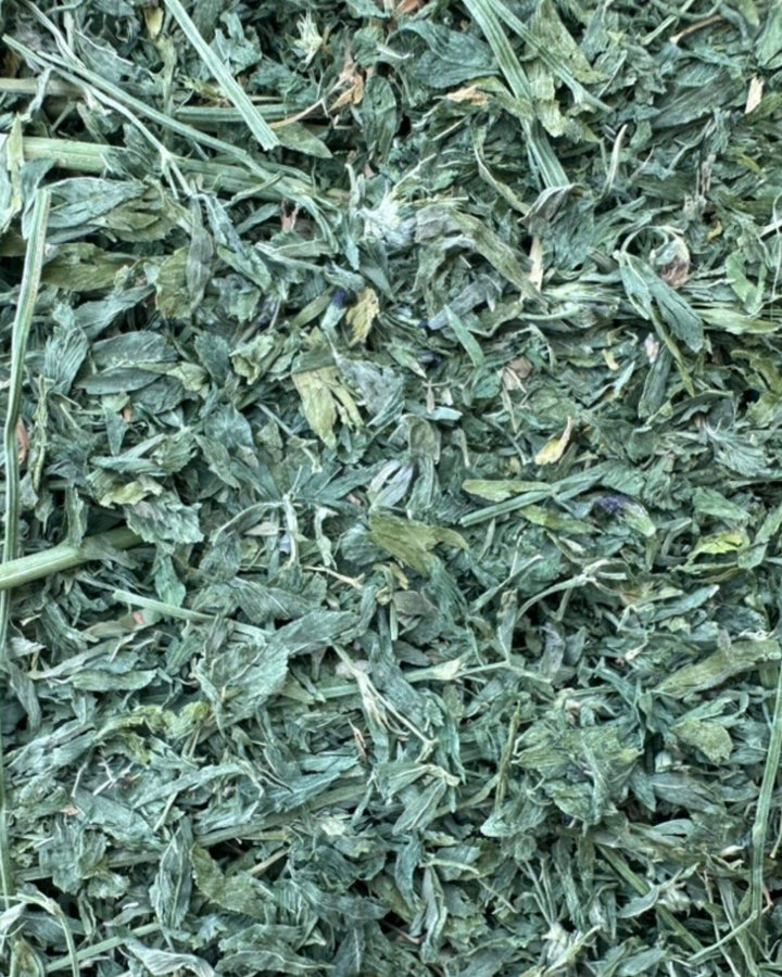 Second cutting Western alfalfa hay with dense leafy structure and very soft fine stems
