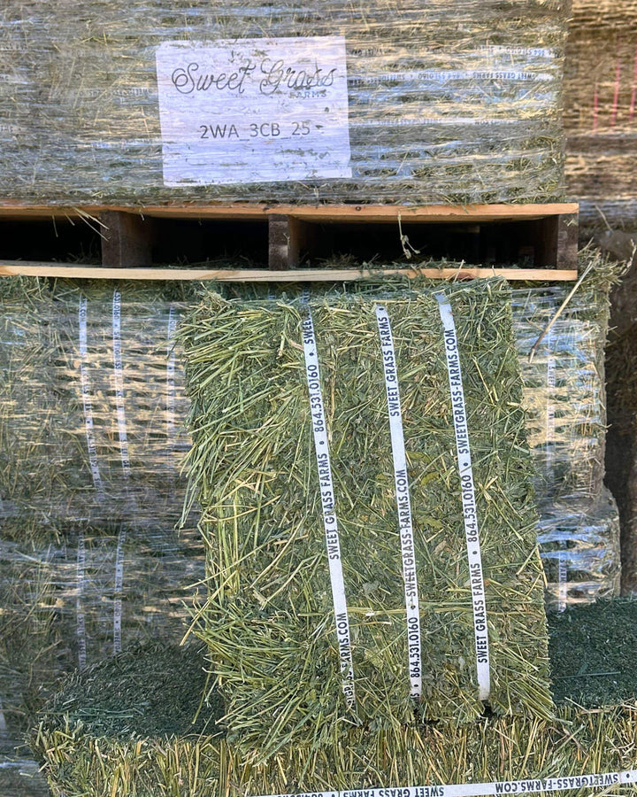Premium second cutting Western alfalfa hay with vibrant green color and high leaf to stem ratio